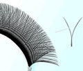 YY Lashes